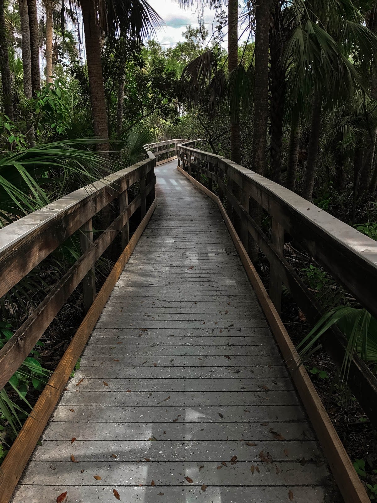 Walking and biking trail in High Springs, Florida.